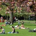 park-in-london